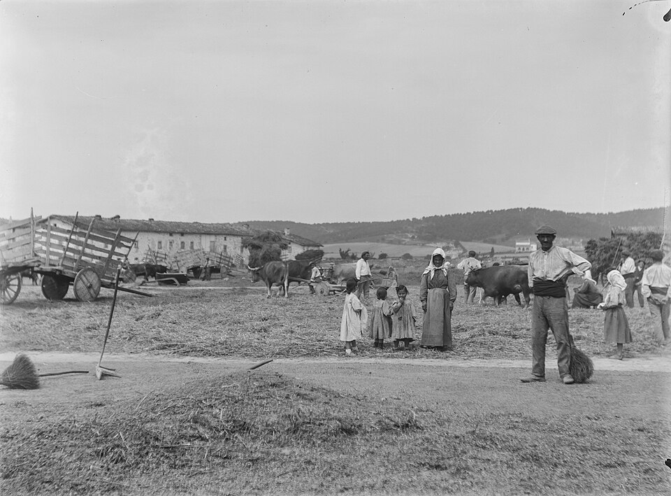 Foto 2 — Alegría-Dulantzi, Álava (01240)