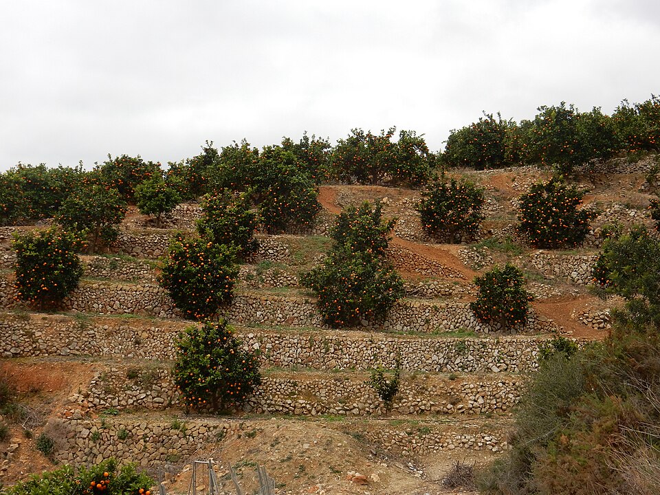 Foto 2 — Callosa d'en Sarrià, Alicante (03510)