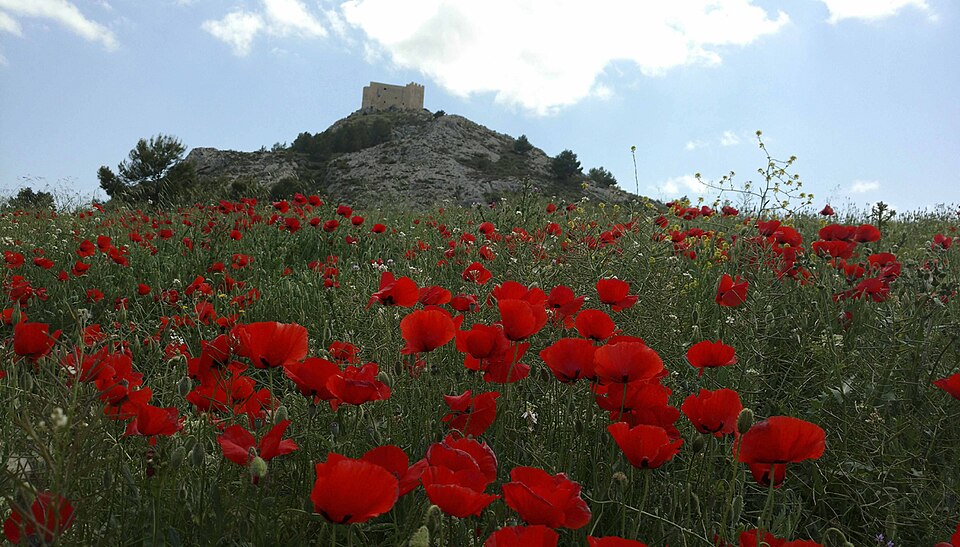 Foto 4 — Castalla, Alicante (03420)