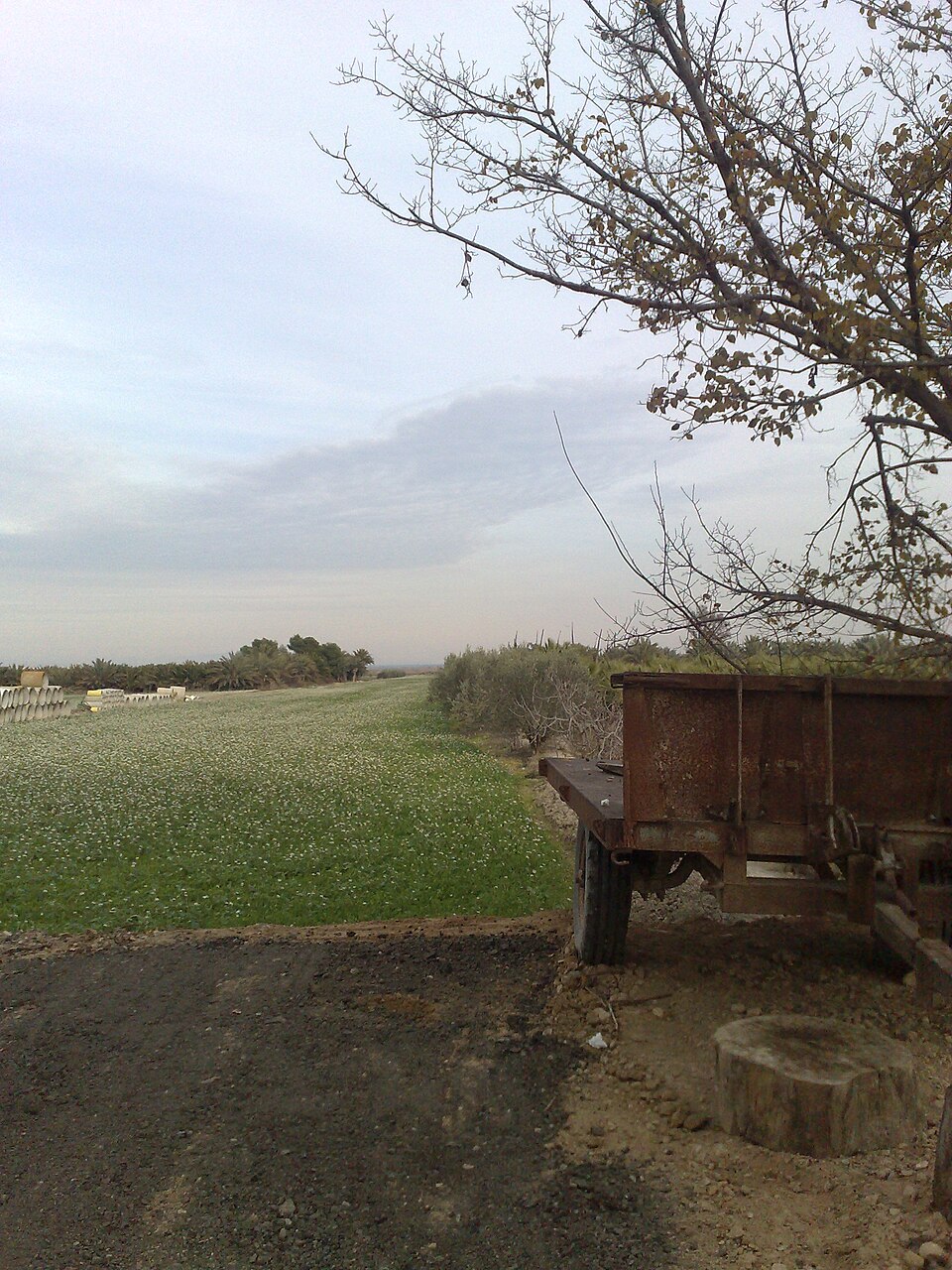 Foto 2 — Crevillent, Alicante (03330)