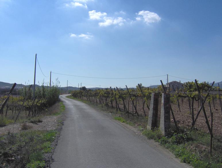 Foto 4 — Novelda, Alicante (03660)