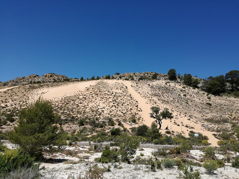 Foto 2 — Petrer, Alicante (03610)