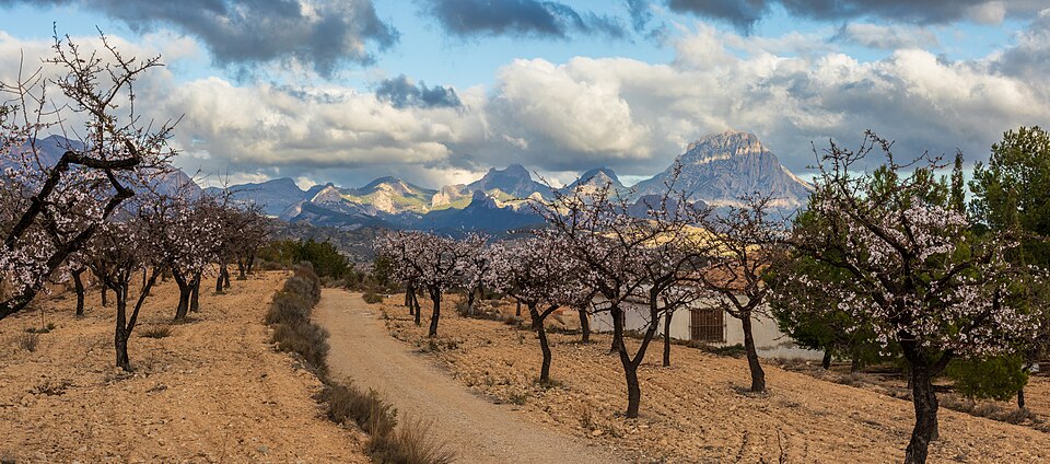 Foto 3 — Relleu, Alicante (03578)