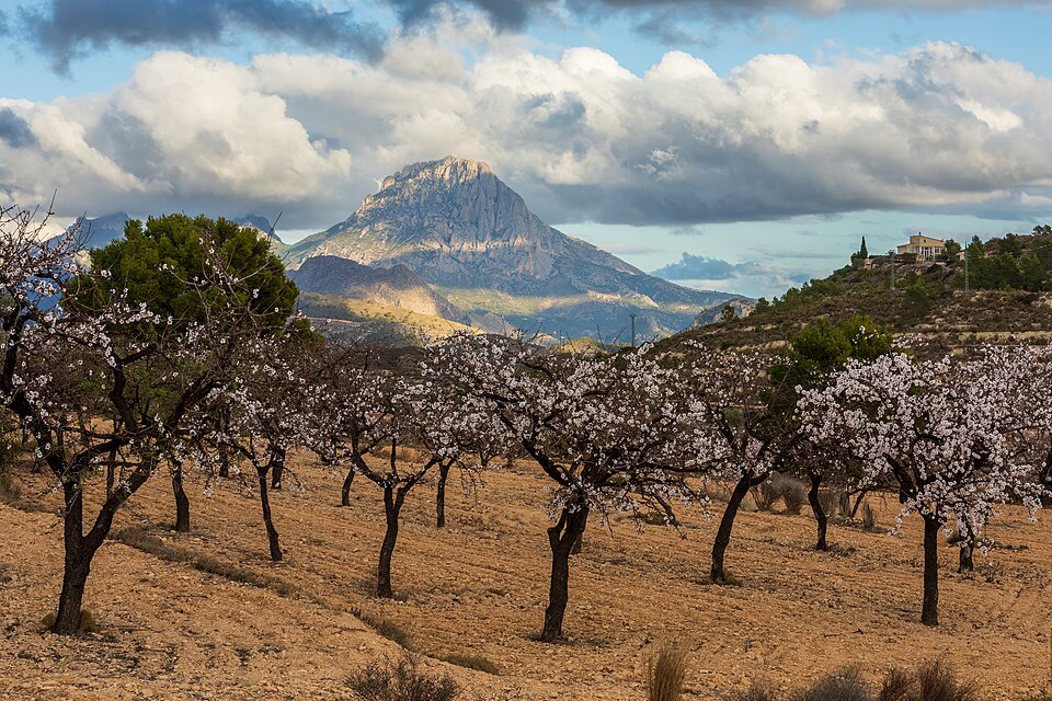 Foto 4 — Relleu, Alicante (03578)