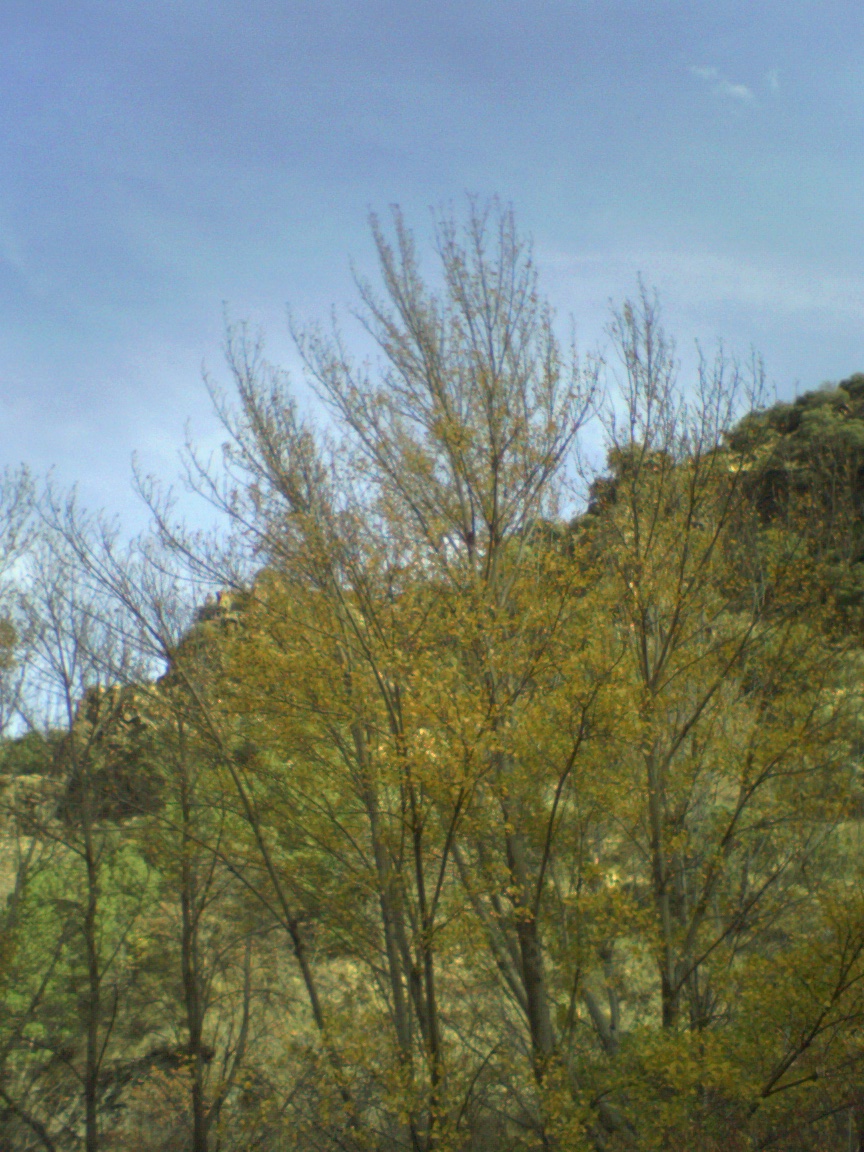 Foto 2 — Abrucena, Almería (04510)
