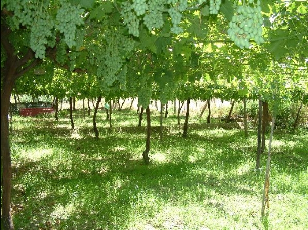 Foto 3 — Canjáyar, Almería (04450)