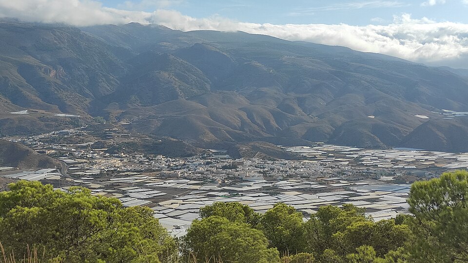Foto 3 — Dalías, Almería (04750)