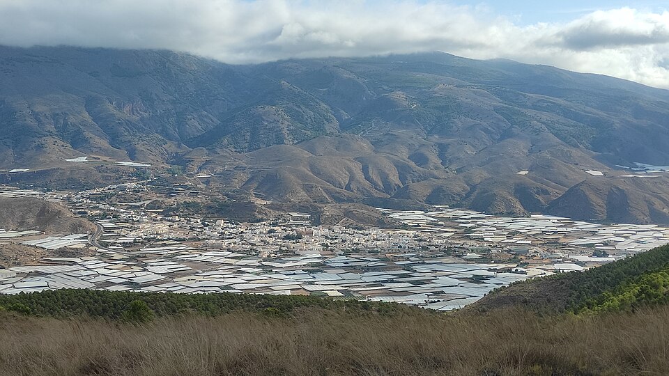 Foto 4 — Dalías, Almería (04750)