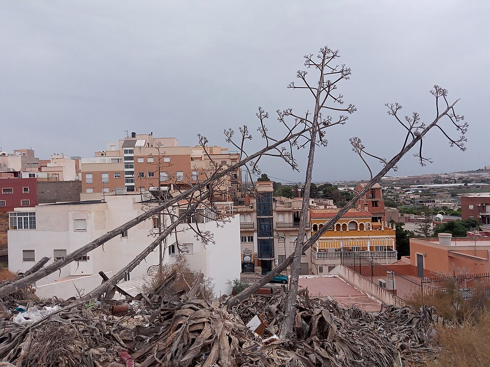 Foto 5 — Viator, Almería (04240)