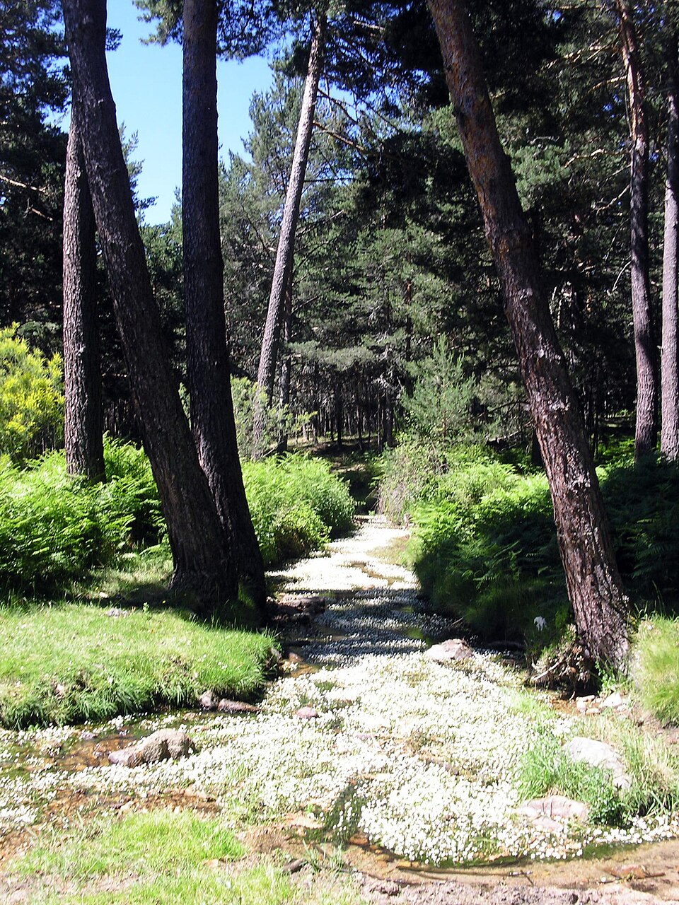 Foto 2 — Burgohondo, Ávila (05113)