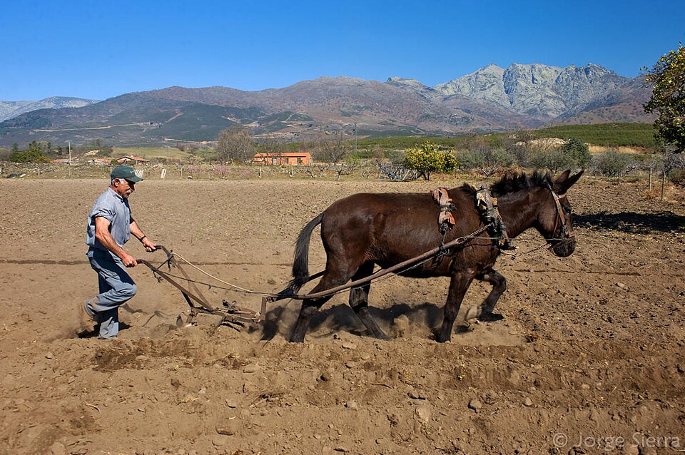Foto 4 — Candeleda, Ávila (05480)