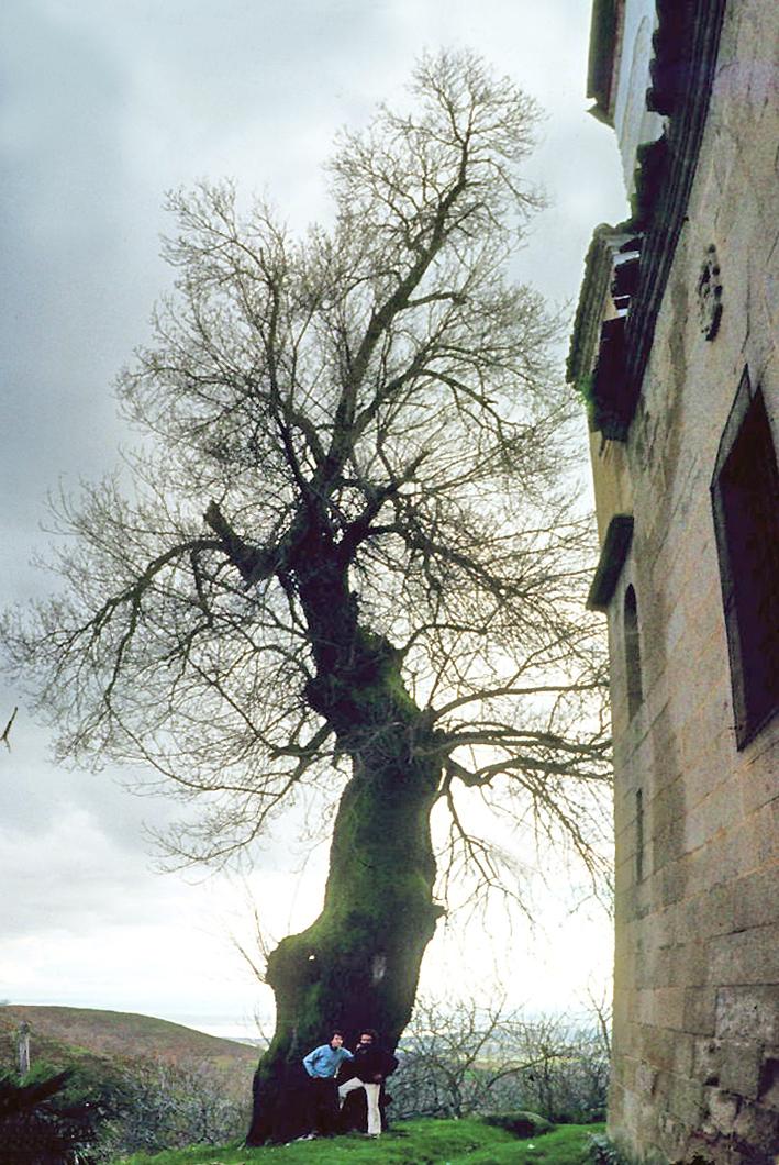 Foto 5 — Candeleda, Ávila (05480)