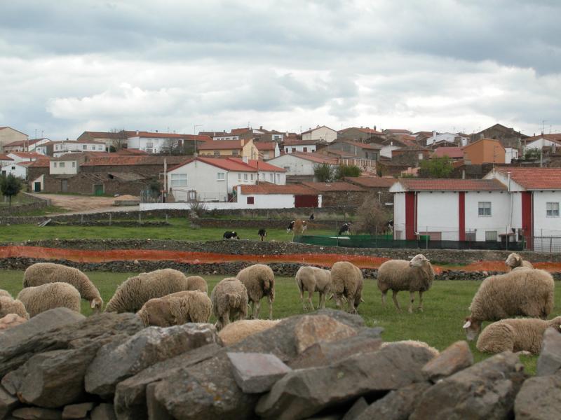 Vista de Diego del Carpio, Ávila (05151)