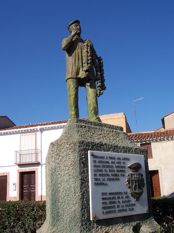 Foto 5 — Aceuchal, Badajoz (06207)