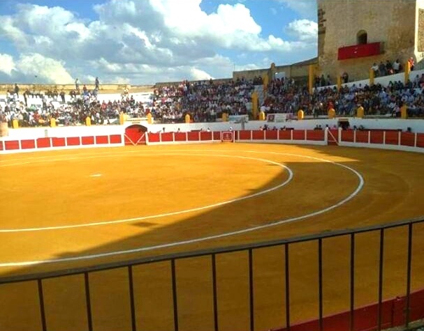 Foto 3 — Barcarrota, Badajoz (06160)