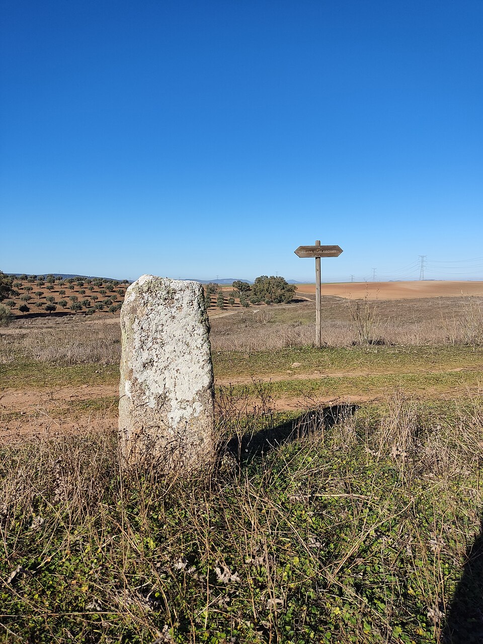 Foto 4 — Bienvenida, Badajoz (06250)