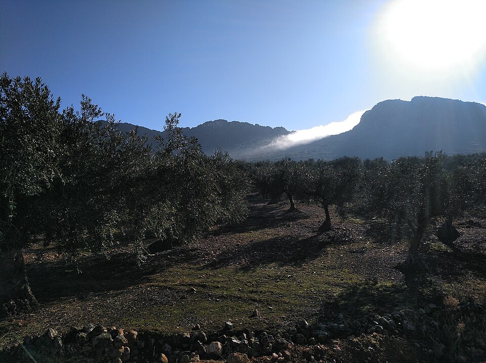 Foto 5 — Cabeza del Buey, Badajoz (06600)