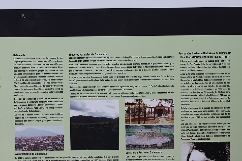 Foto 4 — Calamonte, Badajoz (06810)