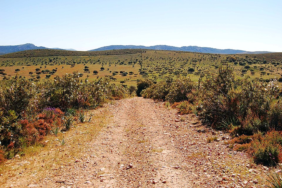 Foto 2 — Fuenlabrada de los Montes, Badajoz (06660)