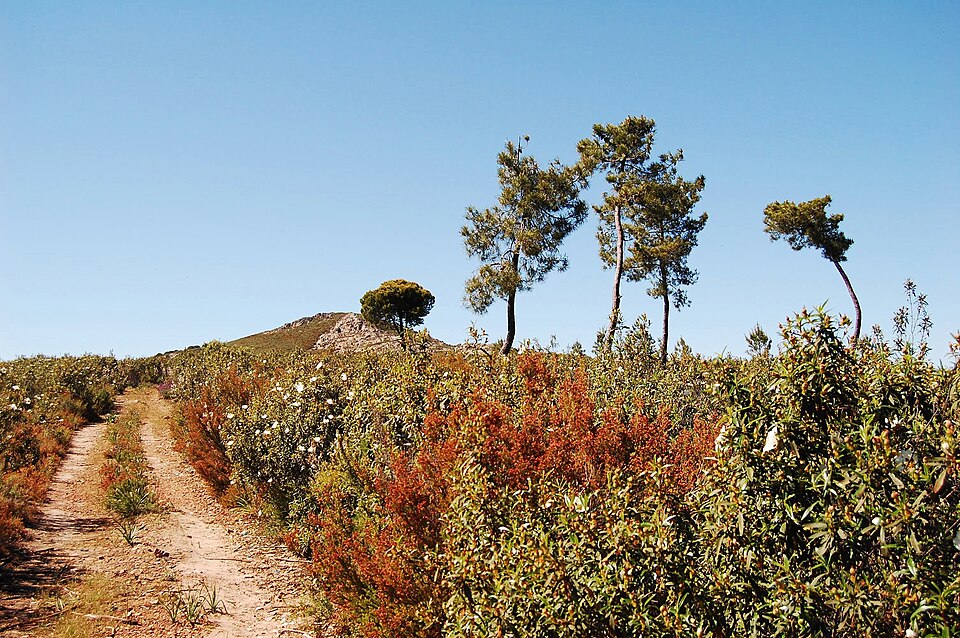 Foto 3 — Fuenlabrada de los Montes, Badajoz (06660)