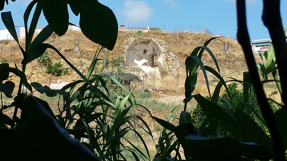Foto 5 — Lobón, Badajoz (06498)