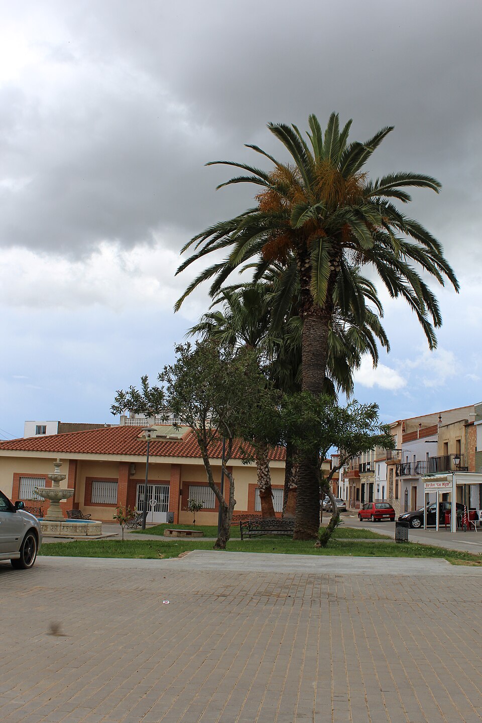 Foto 3 — Oliva de Mérida, Badajoz (06475)