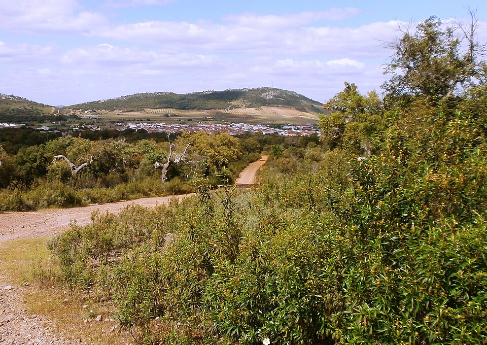 Foto 2 — Puebla de Obando, Badajoz (06191)
