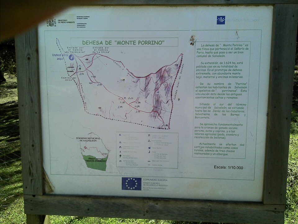 Foto 3 — Salvaleón, Badajoz (06174)