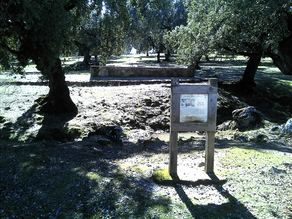 Foto 4 — Salvaleón, Badajoz (06174)