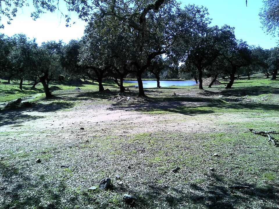 Foto 5 — Salvaleón, Badajoz (06174)