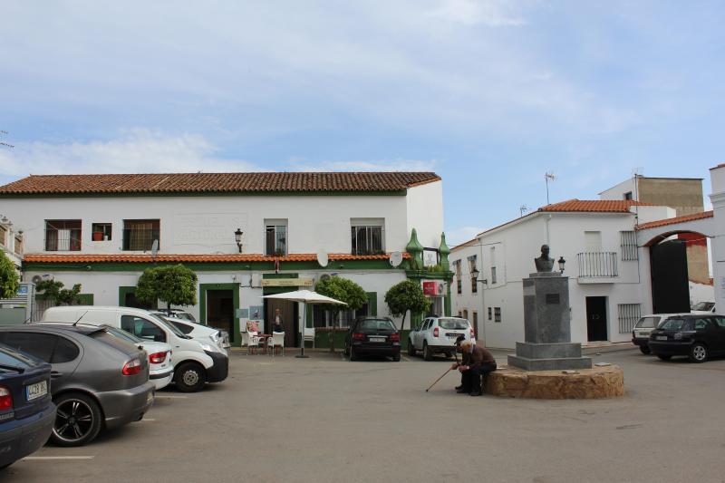 Vista de Torre de Miguel Sesmero, Badajoz (06172)