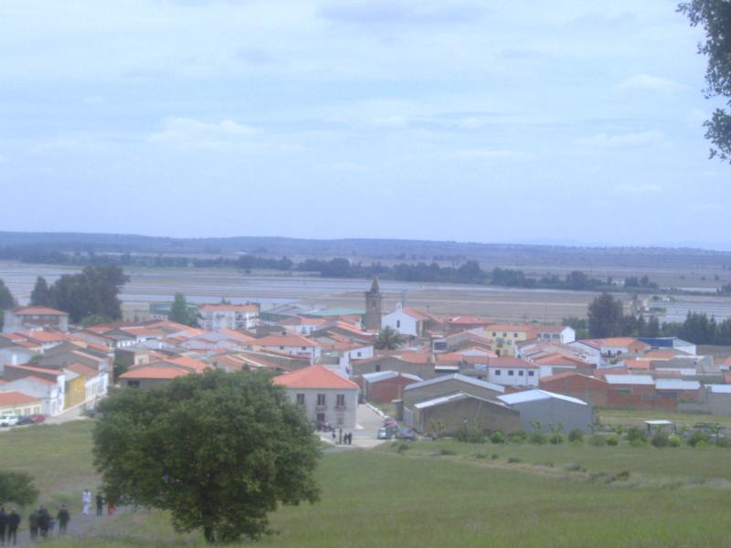 Vista de Villar de Rena, Badajoz (06716)