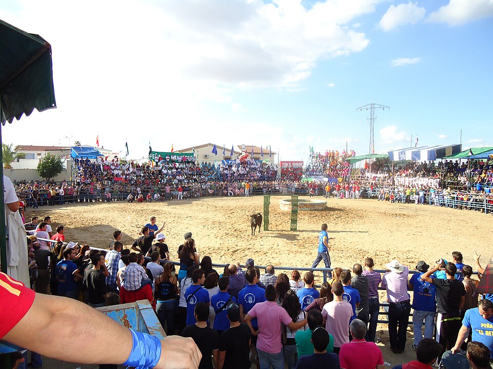 Foto 3 — Valdelacalzada, Badajoz (06185)