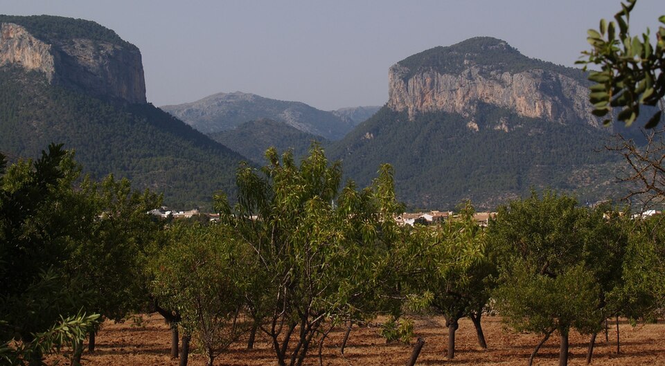 Foto 2 — Alaró, Islas Baleares (07340)