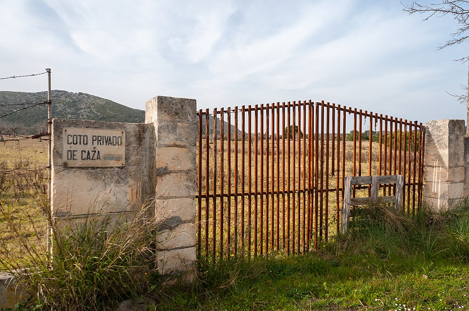 Foto 4 — Alcúdia, Islas Baleares (07400)