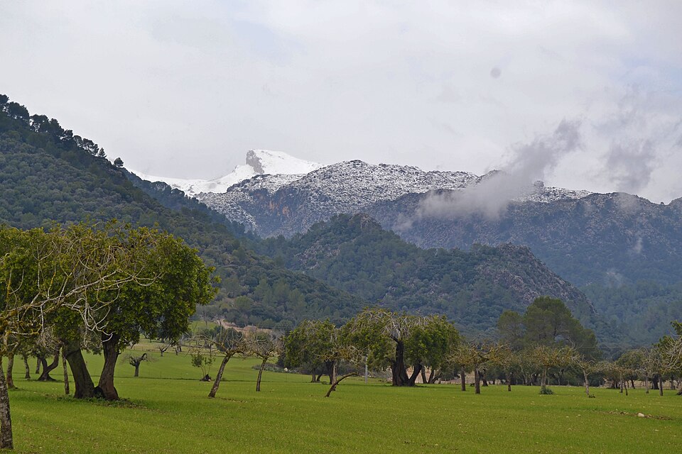 Foto 3 — Campanet, Islas Baleares (07310)