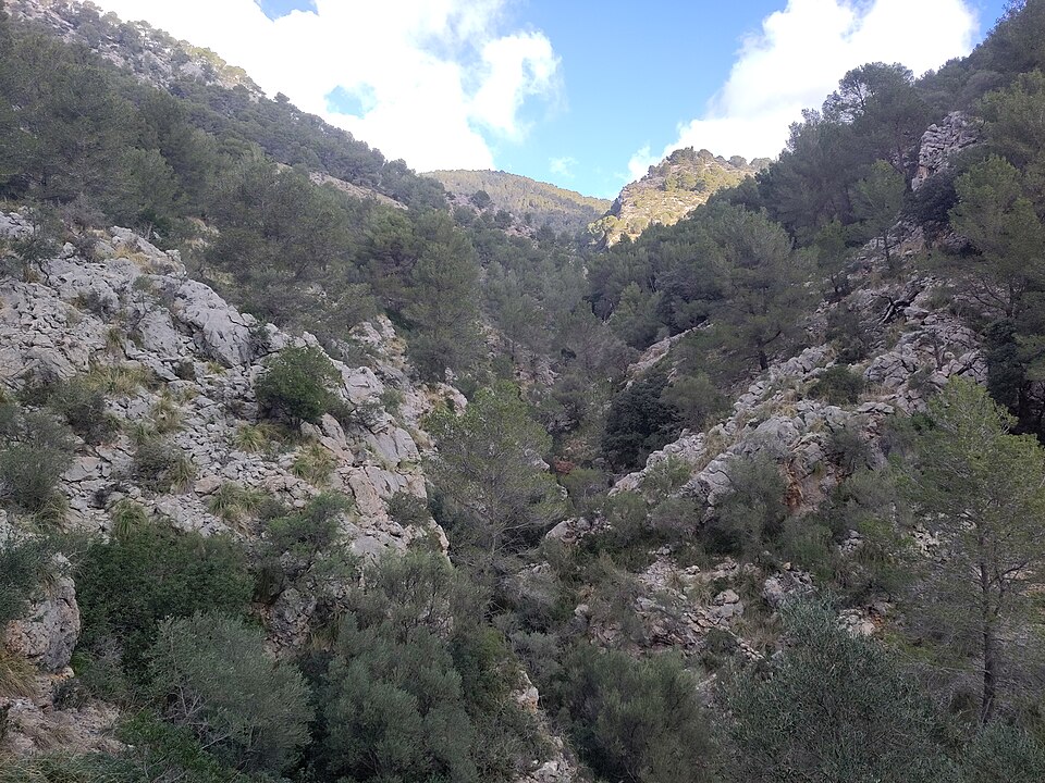 Foto 4 — Campanet, Islas Baleares (07310)