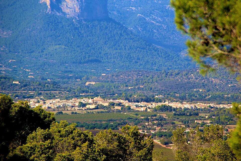 Foto 4 — Consell, Islas Baleares (07330)
