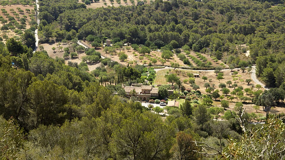 Foto 5 — Felanitx, Islas Baleares (07200)