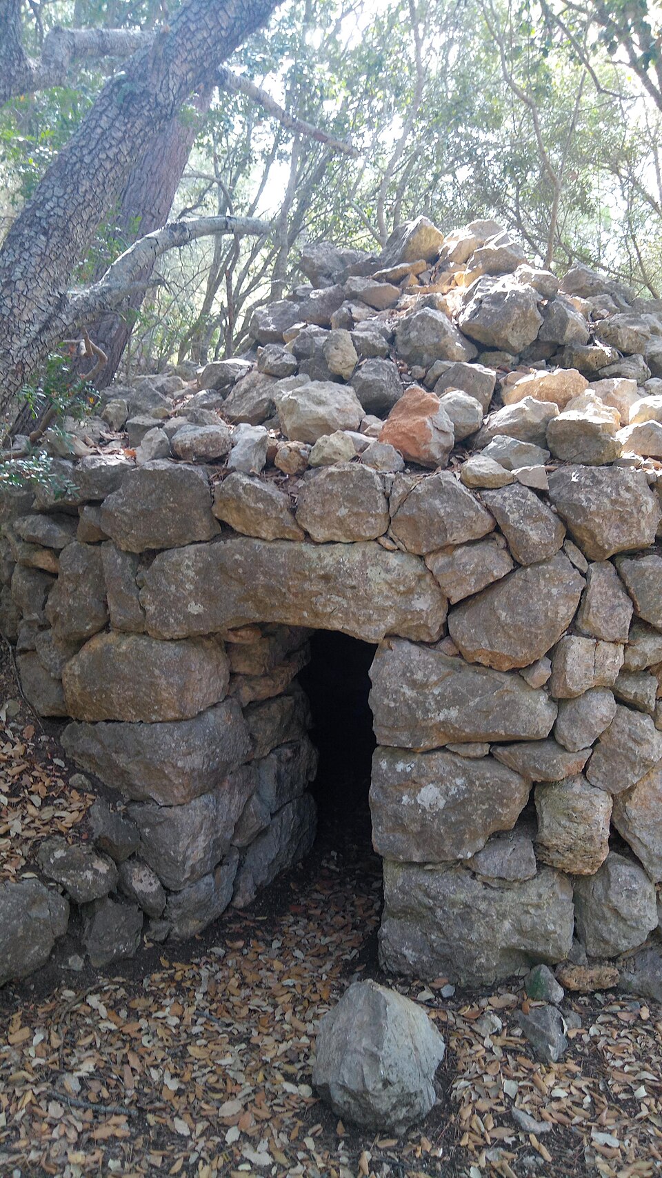 Foto 5 — Puigpunyent, Islas Baleares (07194)