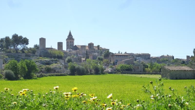Vista de Sencelles, Islas Baleares (07140)