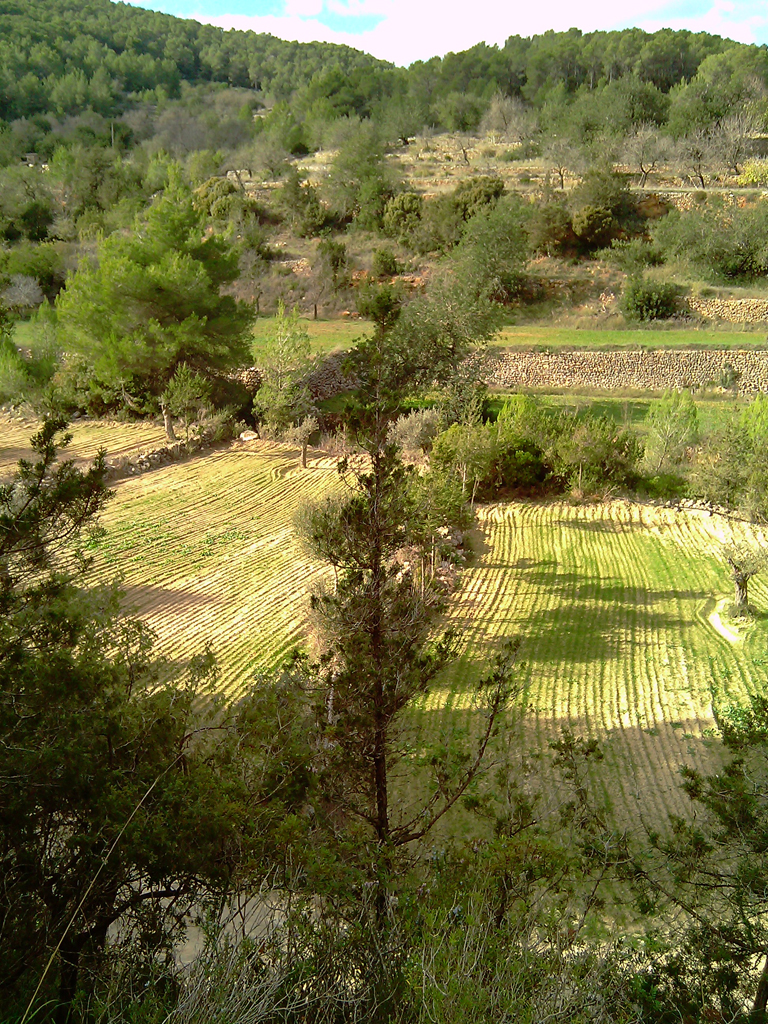 Foto 3 — Sant Joan de Labritja, Islas Baleares (07810)