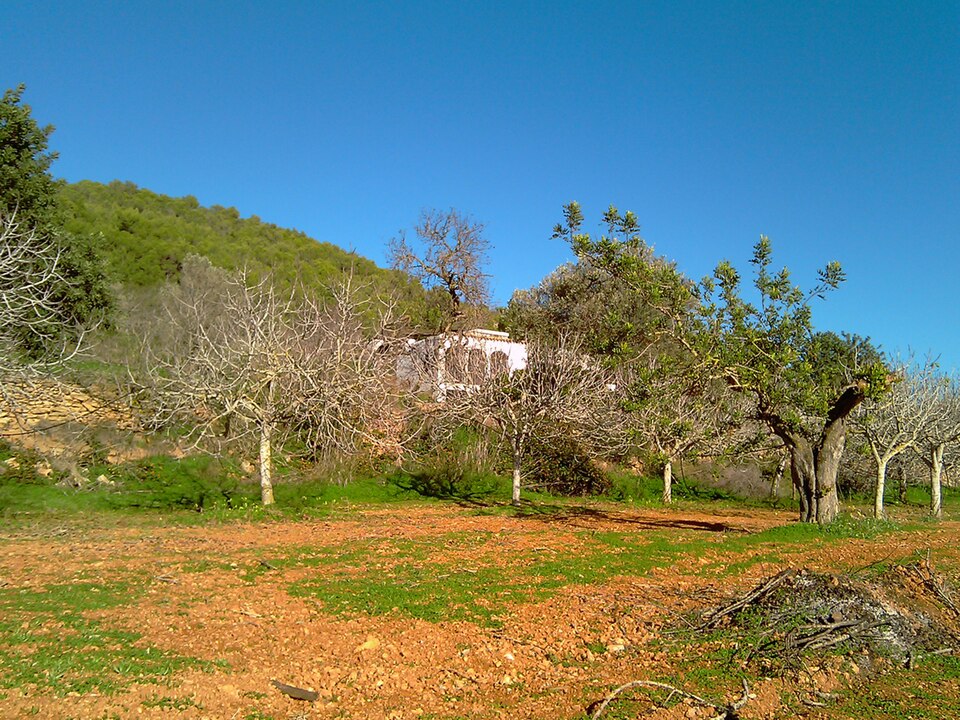 Foto 4 — Sant Joan de Labritja, Islas Baleares (07810)