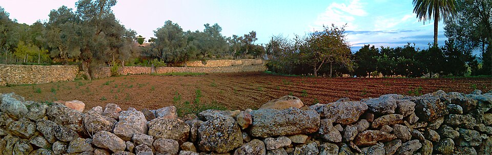 Foto 5 — Sant Joan de Labritja, Islas Baleares (07810)