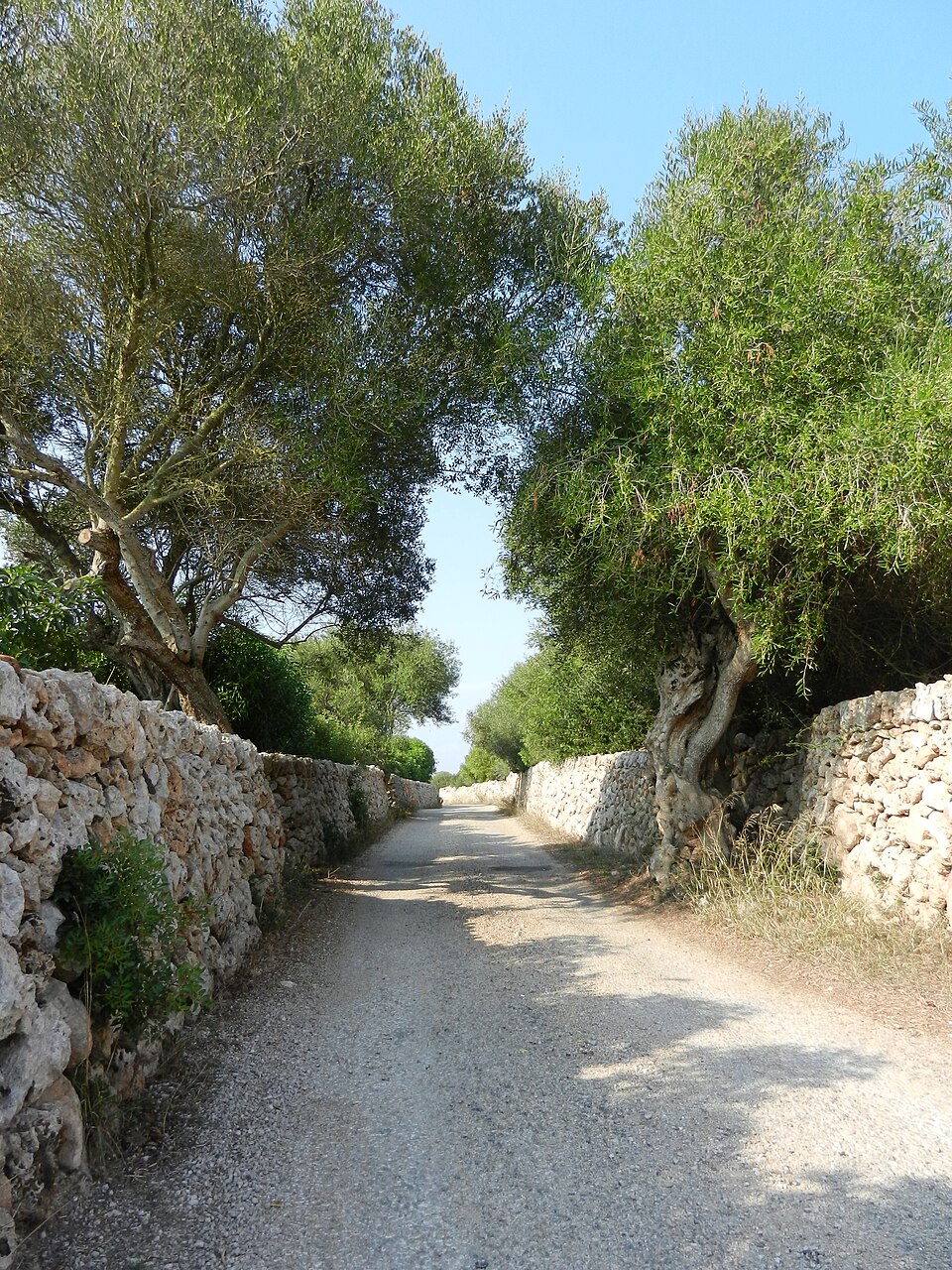 Foto 4 — Sant Lluís, Islas Baleares (07710)