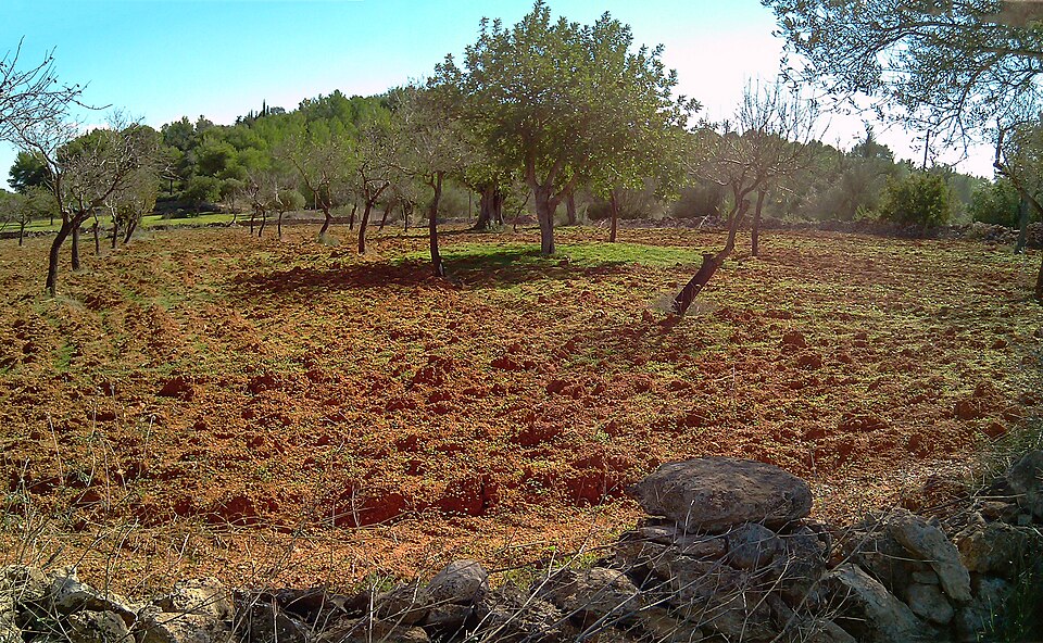Foto 5 — Santa Eulària des Riu, Islas Baleares (07840)