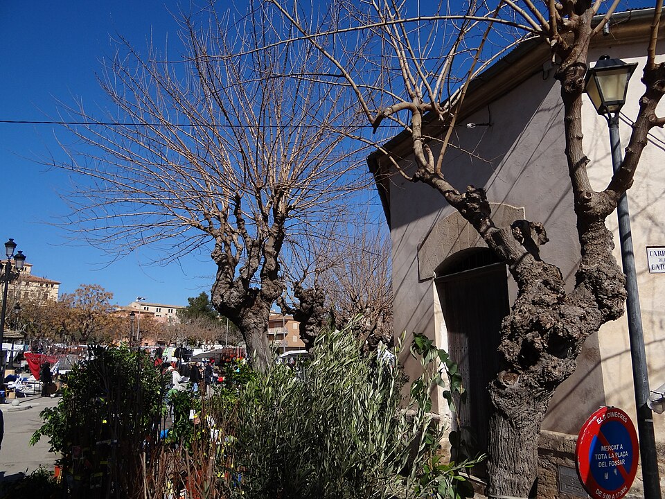 Foto 3 — Sineu, Islas Baleares (07510)