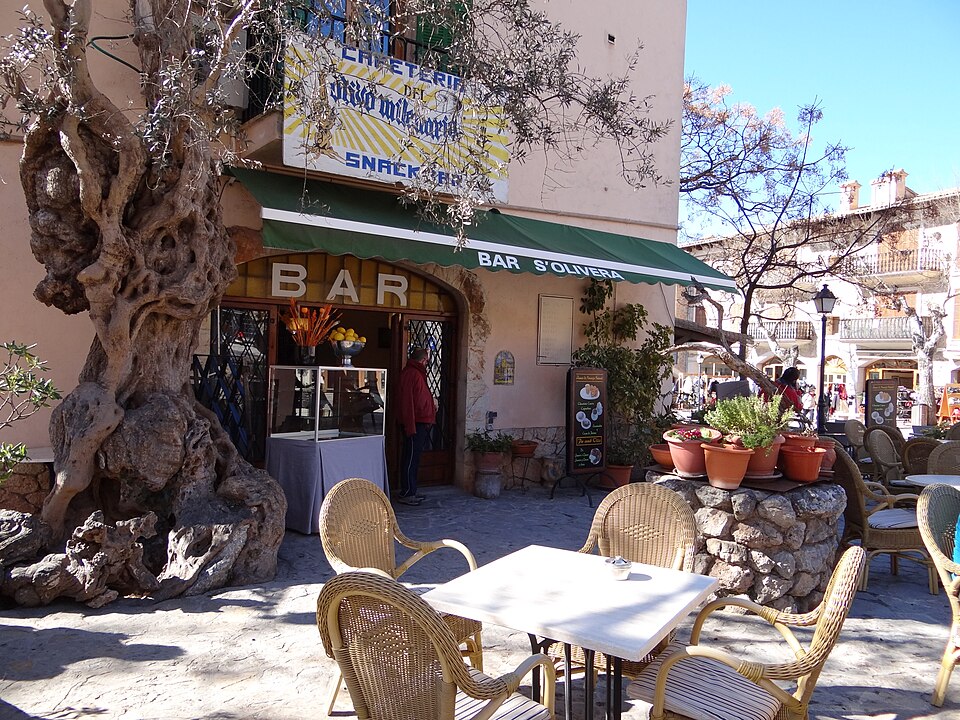 Foto 2 — Valldemossa, Islas Baleares (07170)