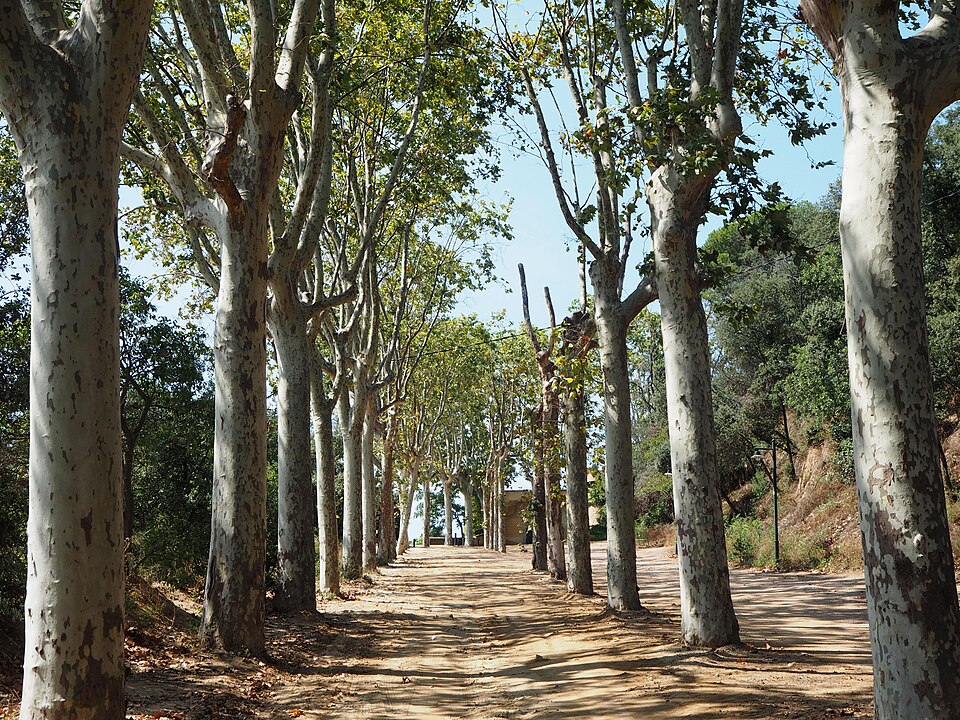 Foto 2 — Arenys de Munt, Barcelona (08007)
