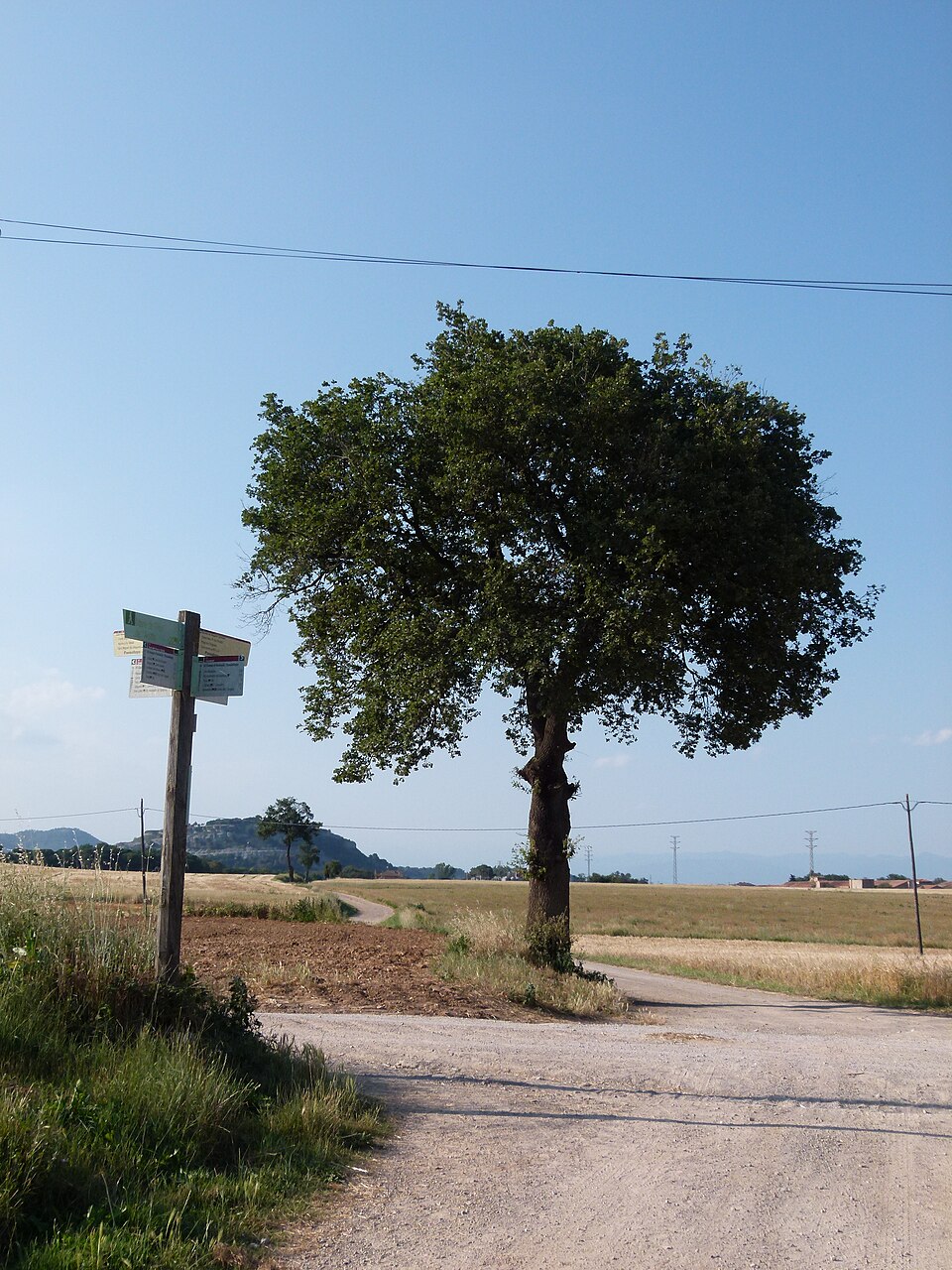 Foto 1 — Balenyà, Barcelona (08017)